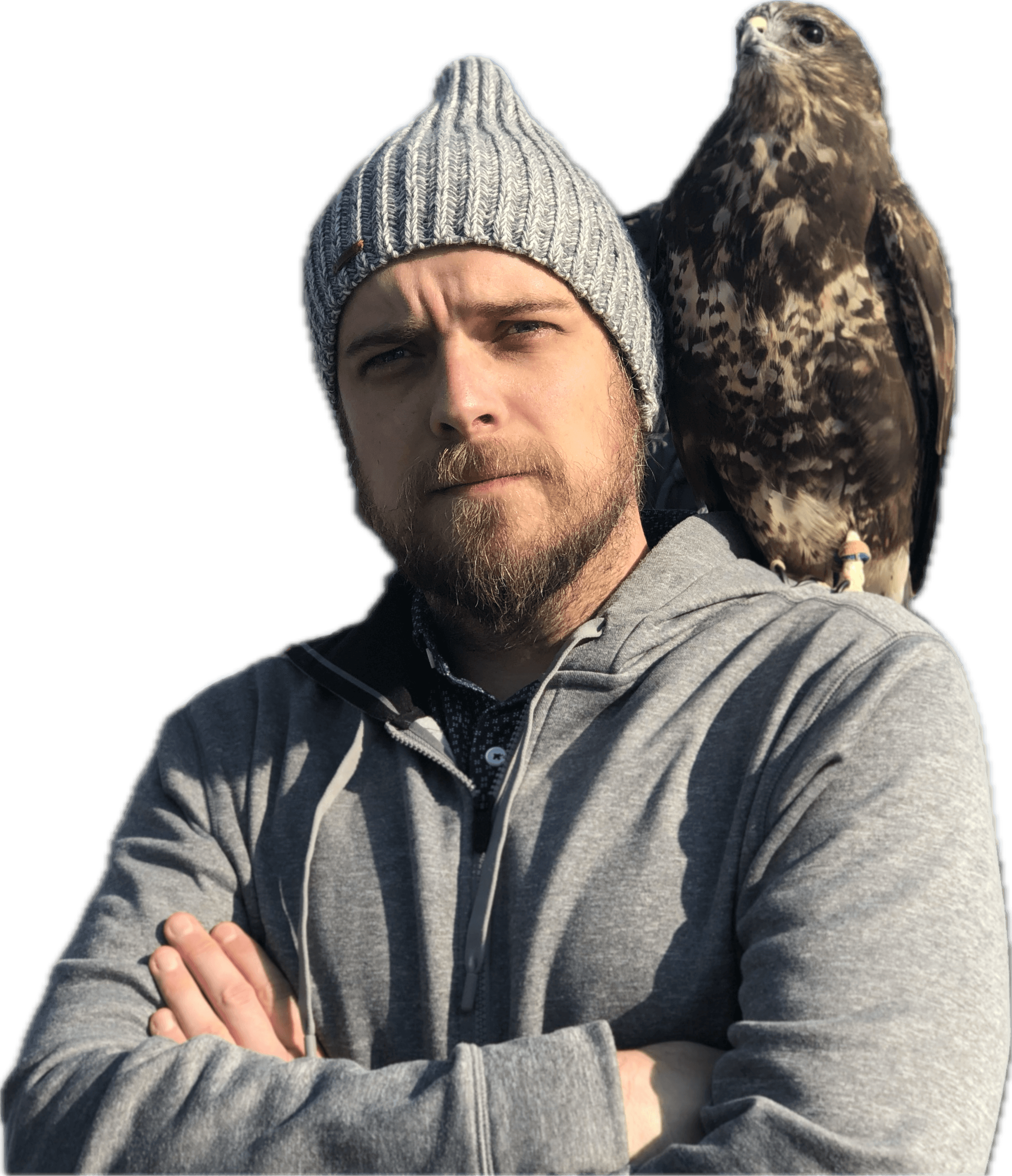 Joel Borofsky with a falcon on his shoulder