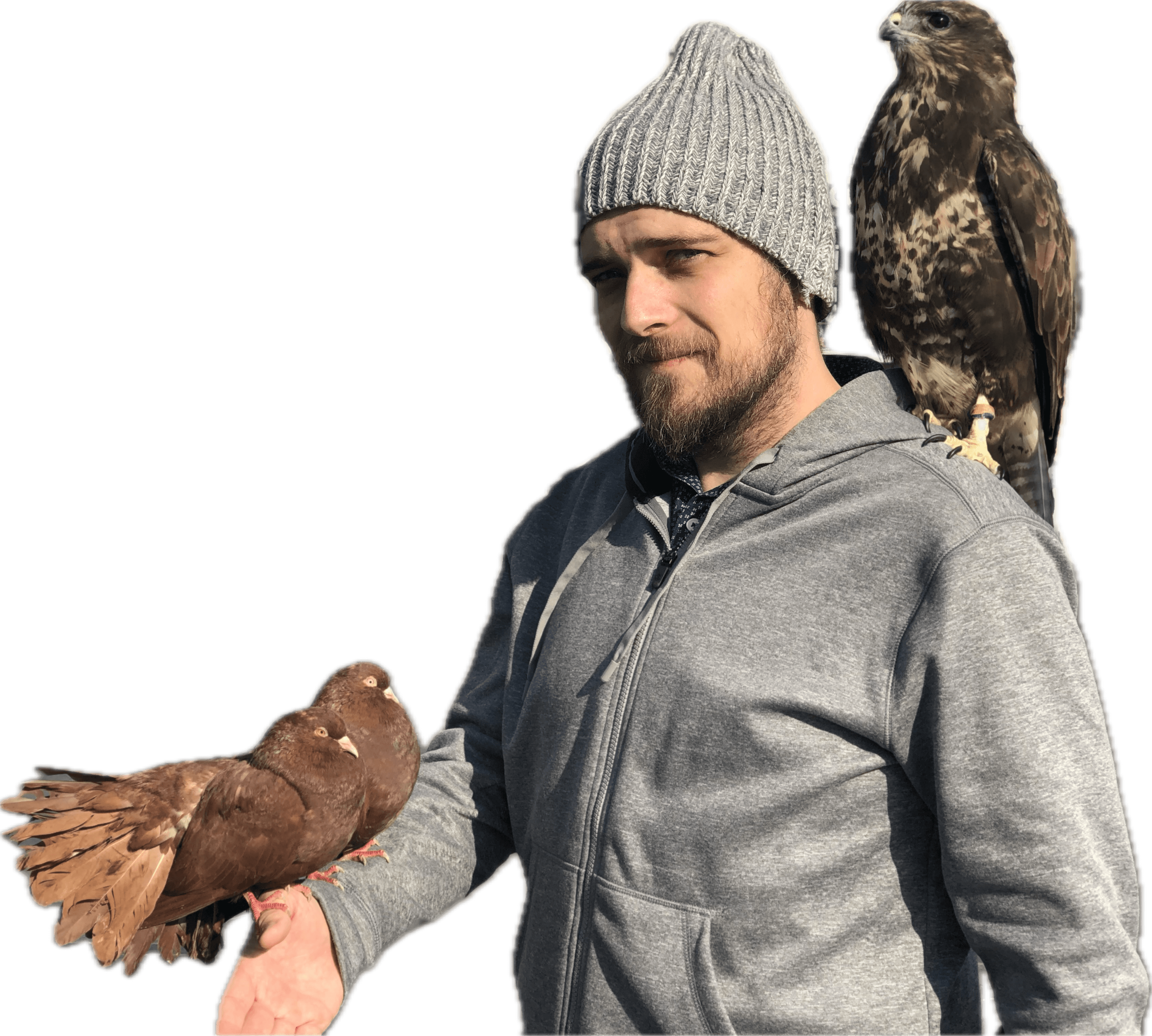 Joel Borofsky with fat brown birds on his arm and a falcon on his shoulder